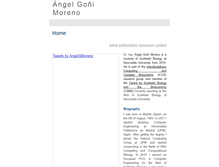 Tablet Screenshot of angelgm.com
